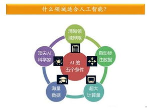 金準(zhǔn)數(shù)據(jù)最新研究揭示 人工智能應(yīng)用軟件開發(fā)驅(qū)動(dòng)行業(yè)縱深發(fā)展